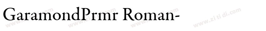GaramondPrmr Roman字体转换